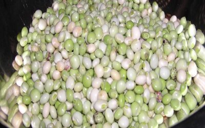 Split pigeon peas