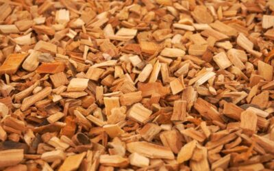 Pine wood Chips