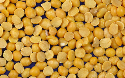 Yellow Peas Chuni