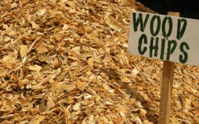 Wood Chips