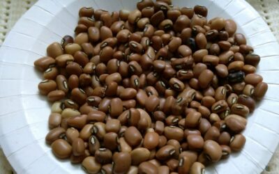 Cowpeas