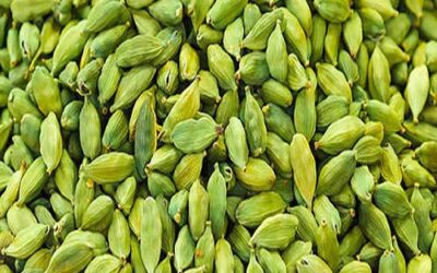 Cardamom