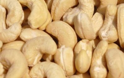 CASHEW NUTS