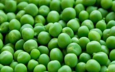 GREEN PEAS