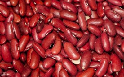 KIDNEY BEANS