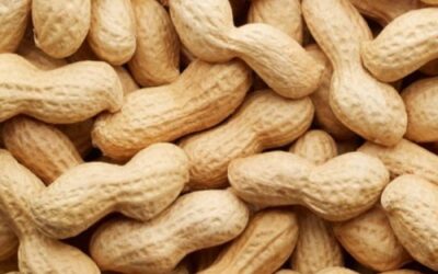 PEANUTS