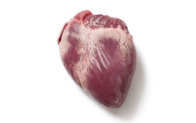 Frozen pork Heart