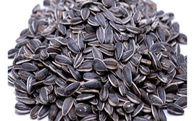 Sunflower Seeds